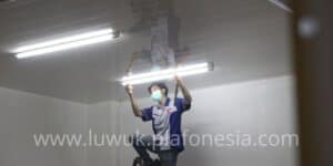 plafon pvc bone