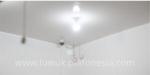 plafon pvc palu
